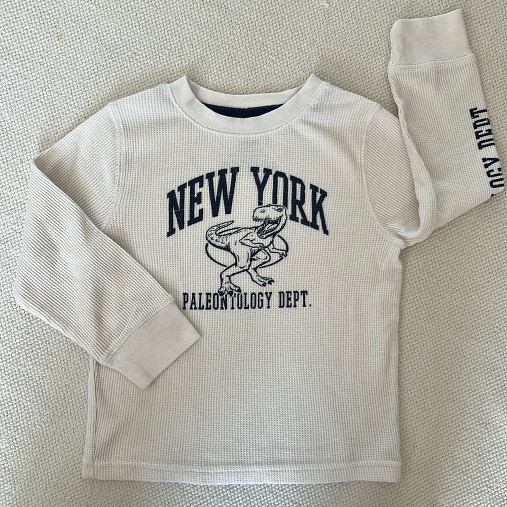 Boys Dinosaur Long Sleeve Shirt